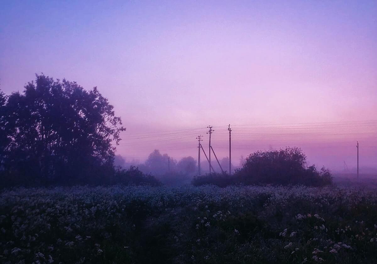 樊振东德甲意外输球原因曝光!波尔透露小胖大概率留队!